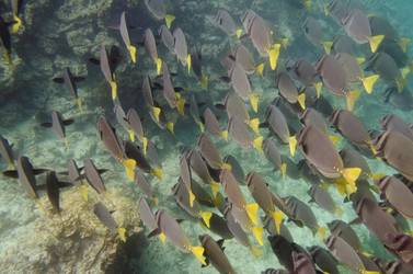 Similar image 8076148