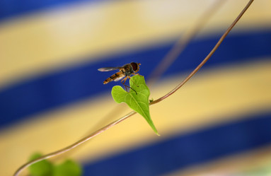 Similar image 8076150