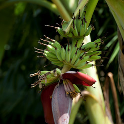 Similar image 8076151