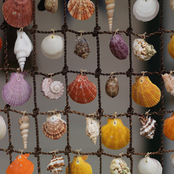 Similar image 8076157