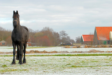 Similar image 8076171