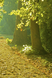 Similar image 8076175