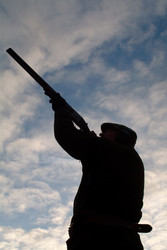 Similar image 8076179