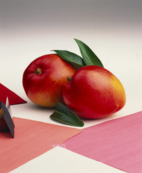 Similar image 8076180