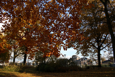 Similar image 8076190