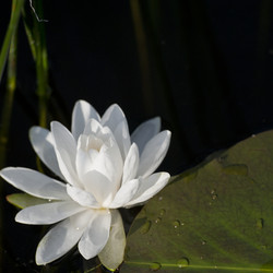 Similar image 8076195