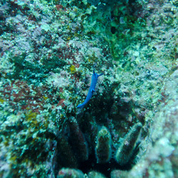 Similar image 8076199