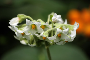 Similar image 8076201