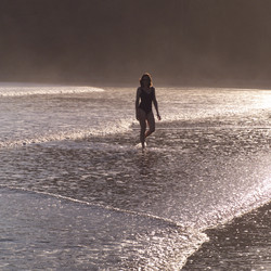 Similar image 8076202