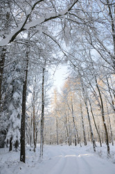 Similar image 8076206