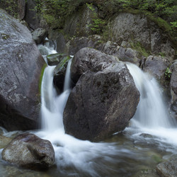 Similar image 8076209