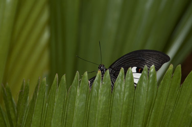 Similar image 8076211