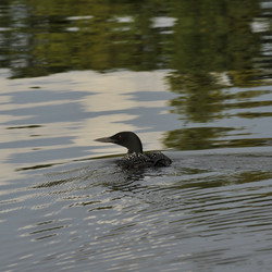 Similar image 8076215