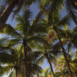 Similar image 8076222