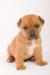 Similar image 8076229