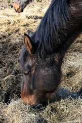 Similar image 8076235