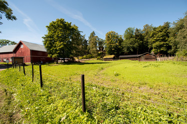 Similar image 8076236