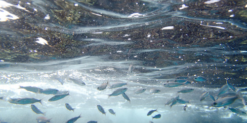 Similar image 8076237