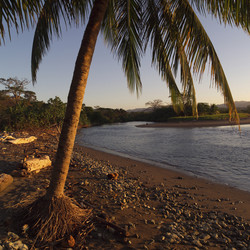 Similar image 8076238