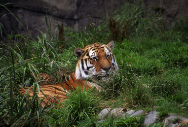 Similar image 8076242