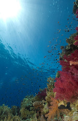 Similar image 8076249