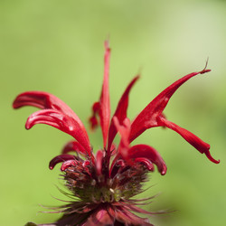 Similar image 8076252