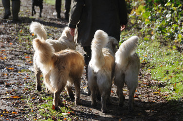 Similar image 8076254