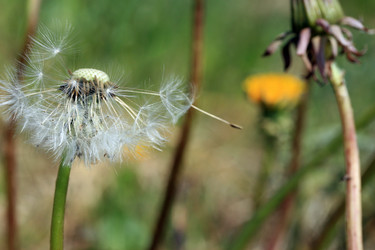 Similar image 8076261