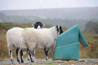 Similar image 8076260