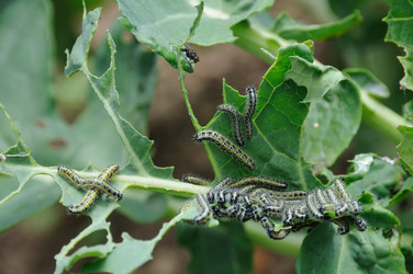 Similar image 8076265