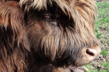 Similar image 8076267