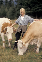 Similar image 8076268