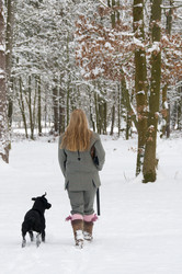 Similar image 8076280