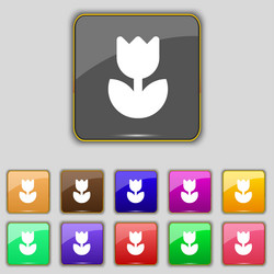 Similar image 8078527