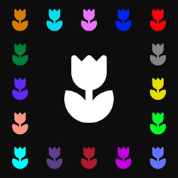 Similar image 8084106