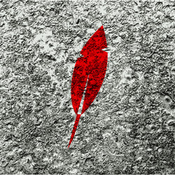 Similar image 8085997