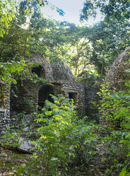 Similar image 8086332