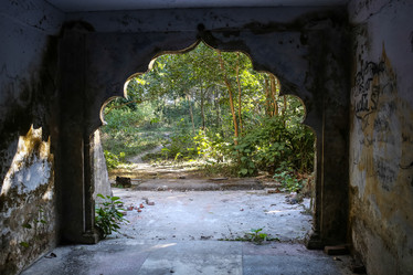 Similar image 8086334