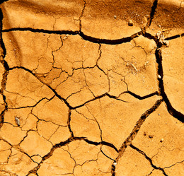 Similar image 8086355