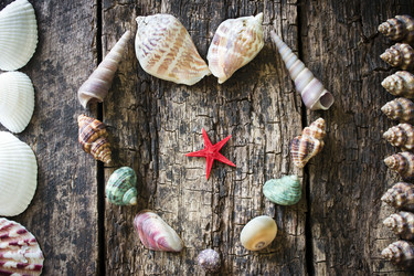 Similar image 8086586