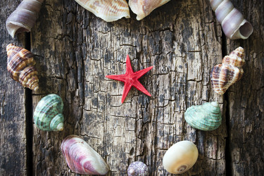 Similar image 8086587