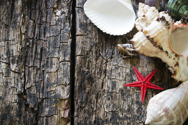 Similar image 8086613