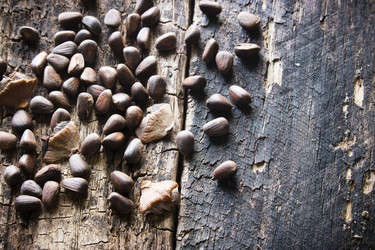 Similar image 8086622