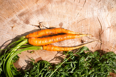 Similar image 8086681