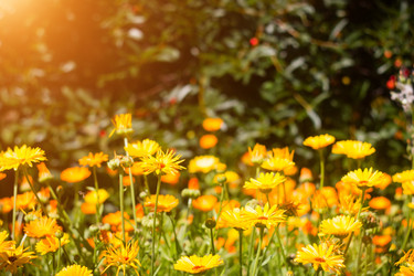 Similar image 8086684