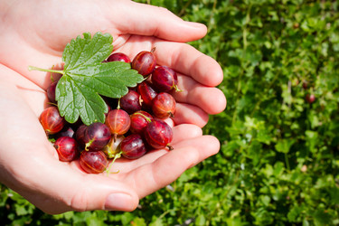 Similar image 8086687