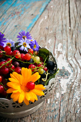 Similar image 8086692