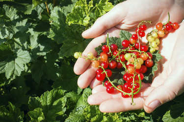 Similar image 8086697