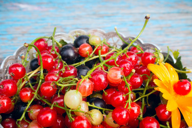 Similar image 8086699