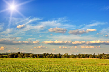 Similar image 8087264